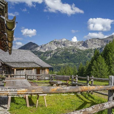 Powderia Family & Freelance Apartment In The Centre Of Ski Amade Альтенмаркт  Экстерьер фото